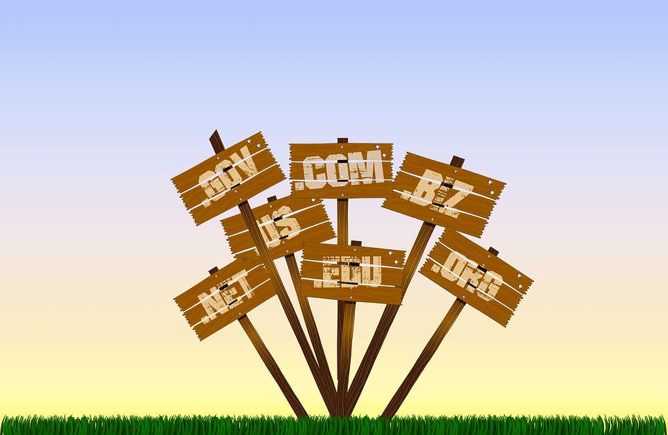 Why Register Multiple Domain Extensions for Your Site? Why Register Multiple Domain Extensions for Your Site
